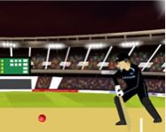 Cricket world cup HTML5 jtk