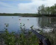 Duck shooter online kaland játék