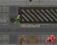 Flash doom ingyen játék